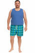 Check Print Plus Size Swim Shorts - UK 46/48